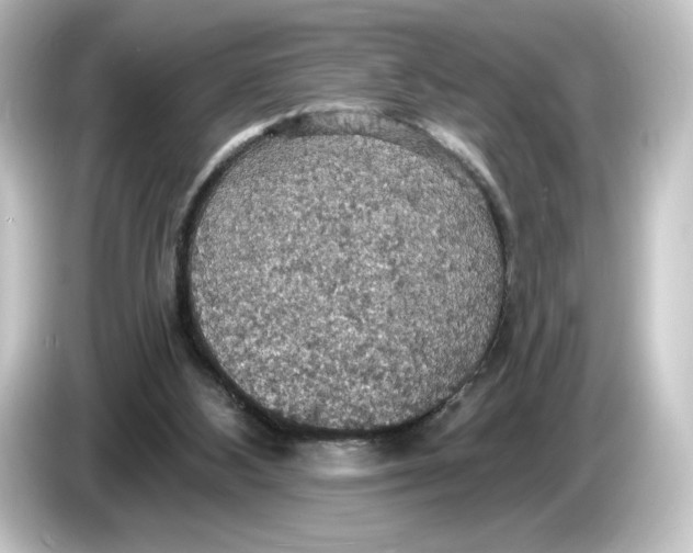 X0000084540108200703161635