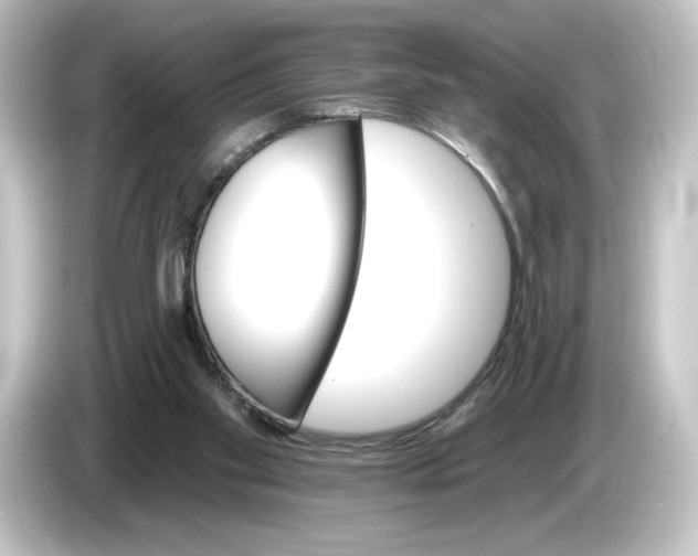 X0000084540109200703161635