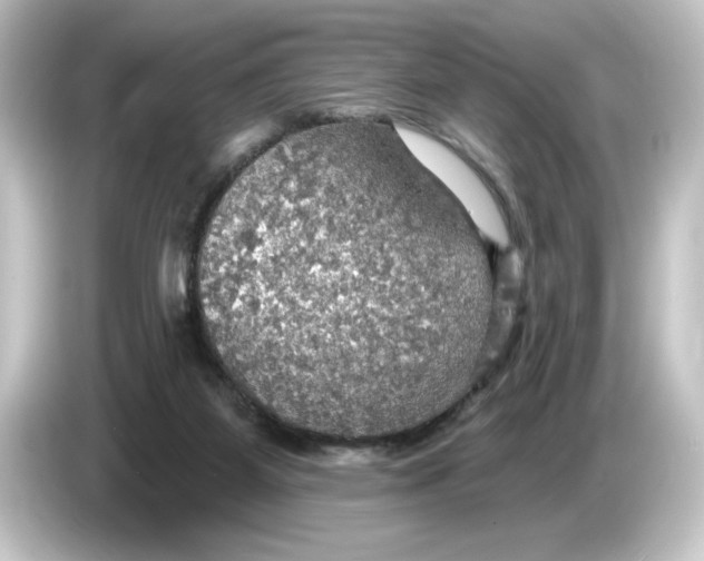 X0000084540115200703161635