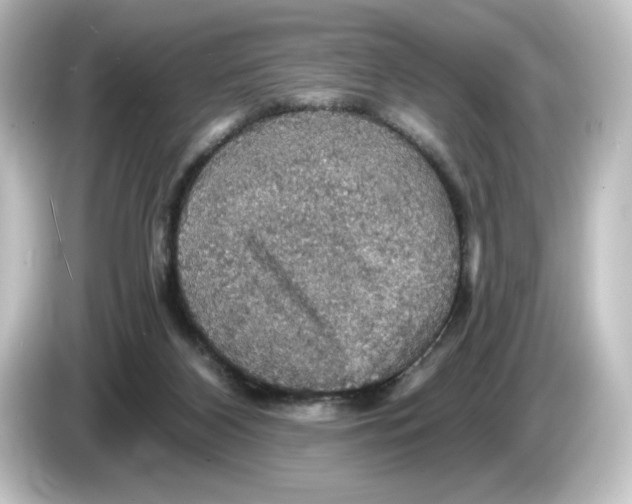 X0000084540116200703161635