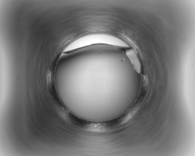 X0000084540117200703161635