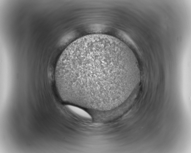 X0000084540119200703161635