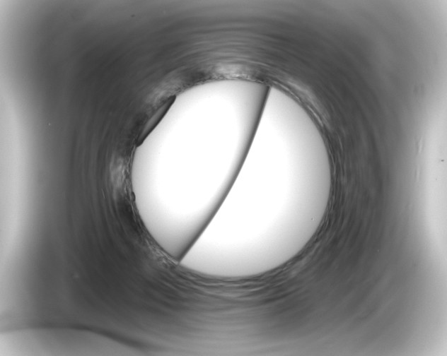 X0000084540121200703161635