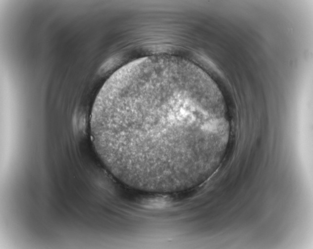 X0000084540124200703161635