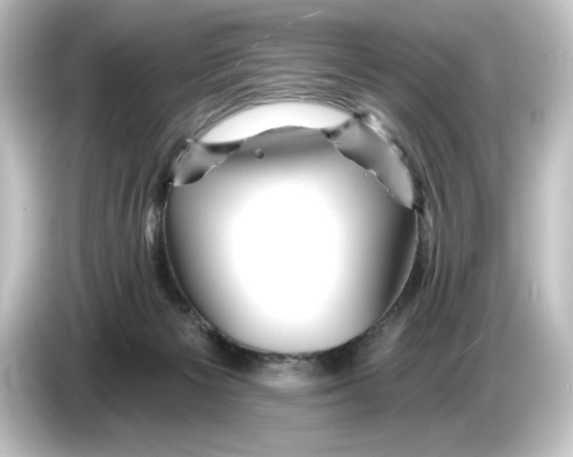 X0000084540125200703161635