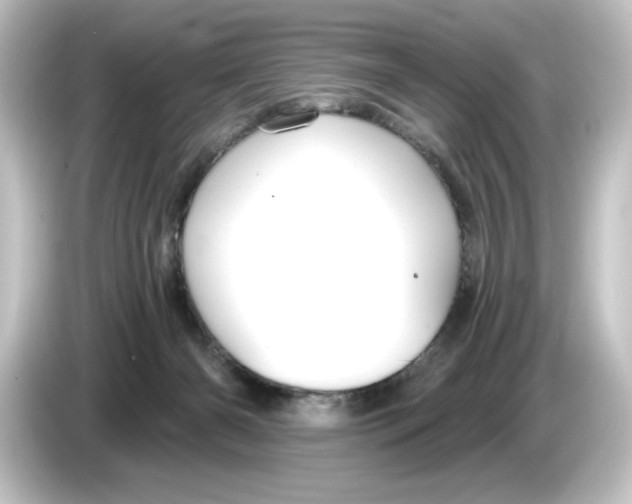 X0000084540126200703161635