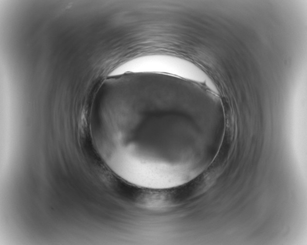 X0000084540127200703161635