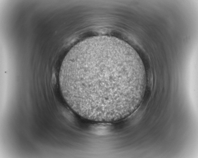 X0000084540128200703161635