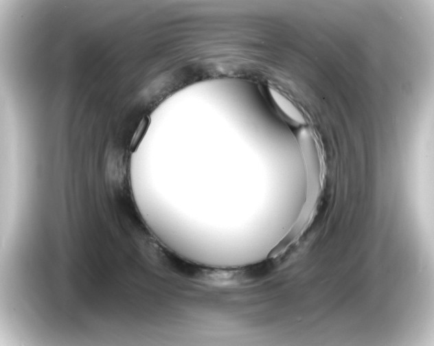 X0000084540129200703161635