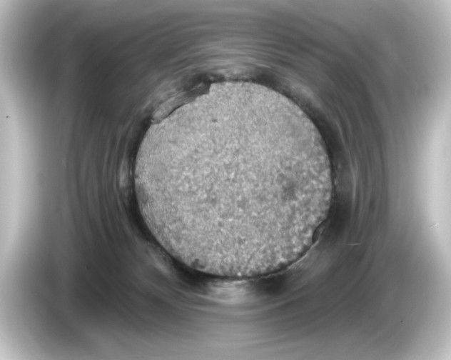 X0000084540132200703161635