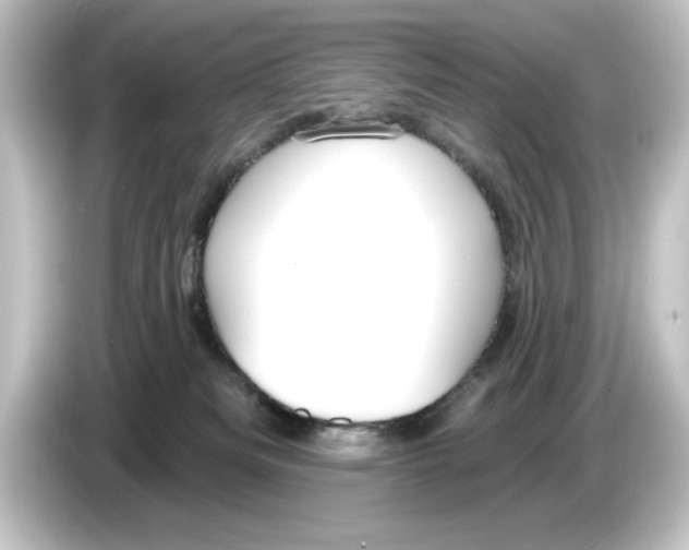 X0000084540133200703161635