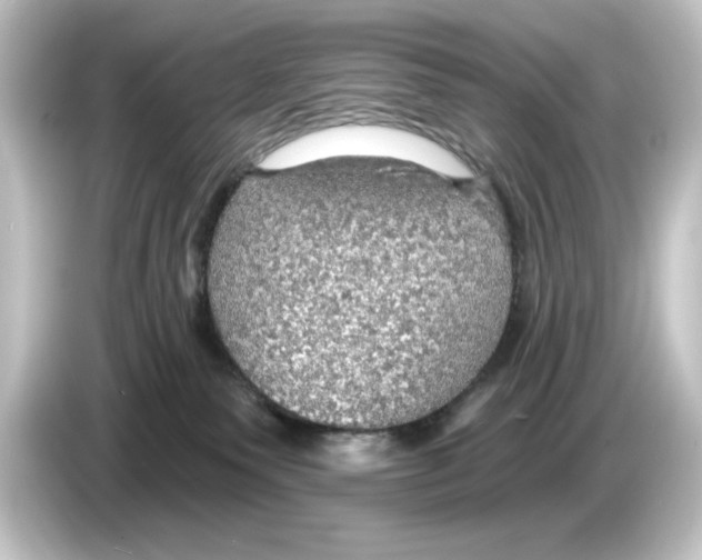 X0000084540135200703161635