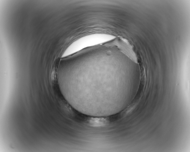 X0000084540137200703161635