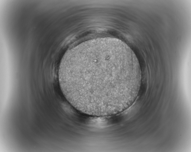 X0000084540140200703161635