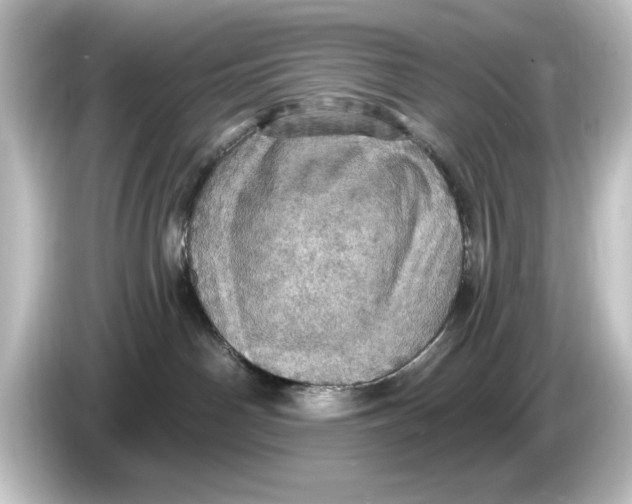 X0000084540142200703161635