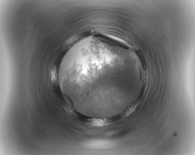 X0000084540143200703161635