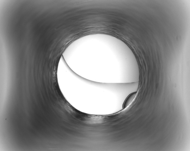 X0000084540144200703161635