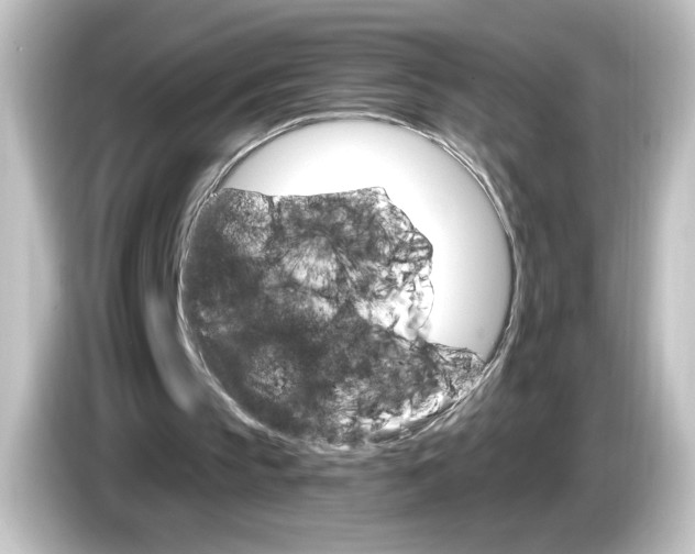 X0000084540145200703161634