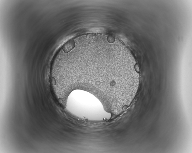 X0000084540146200703161634