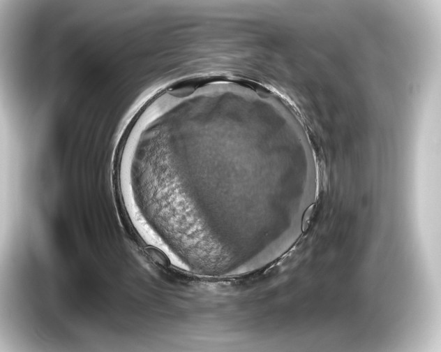 X0000084540147200703161634