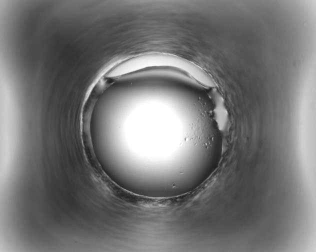 X0000084540148200703161634