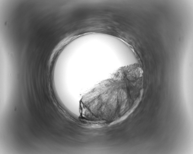 X0000084540149200703161634