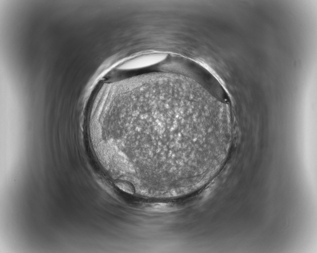 X0000084540151200703161634