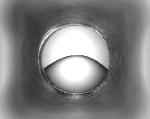 X0000084540152200703161634