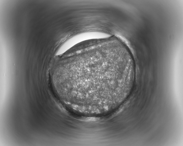 X0000084540153200703161634