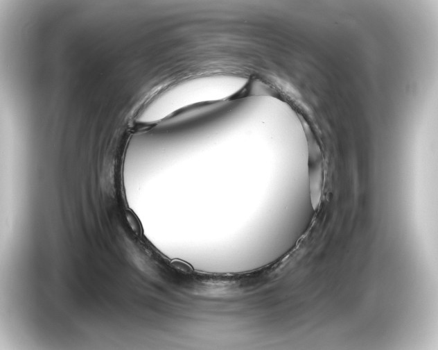 X0000084540154200703161634