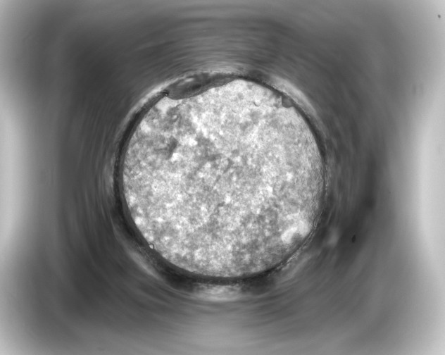 X0000084540155200703161635