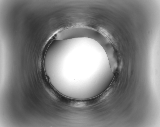 X0000084540156200703161635