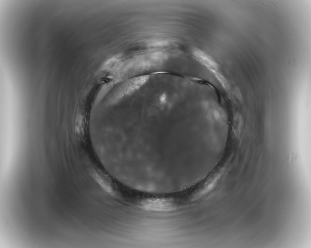 X0000084540161200703161635