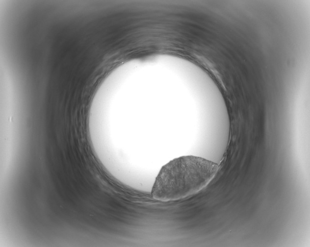 X0000084540162200703161635