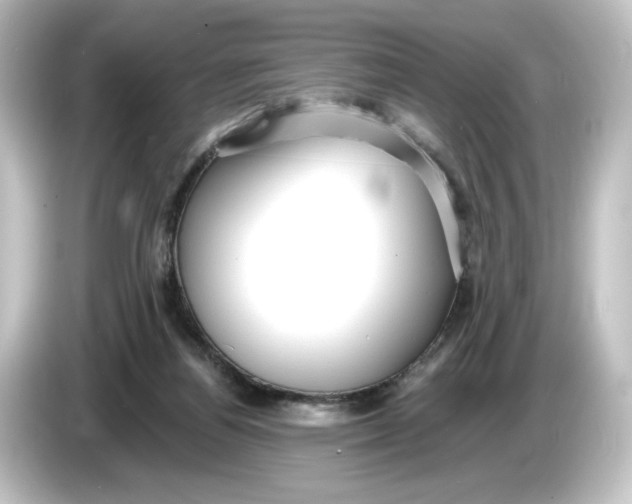 X0000084540164200703161635