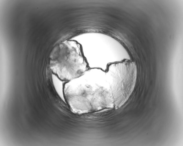 X0000084540165200703161635