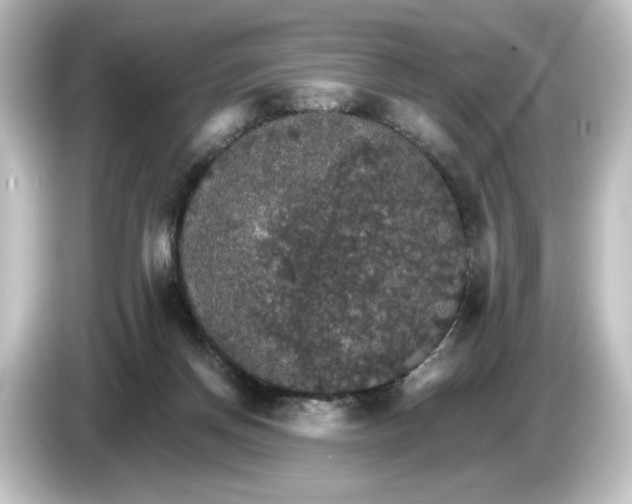 X0000084540166200703161635