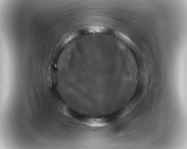 X0000084540169200703161635