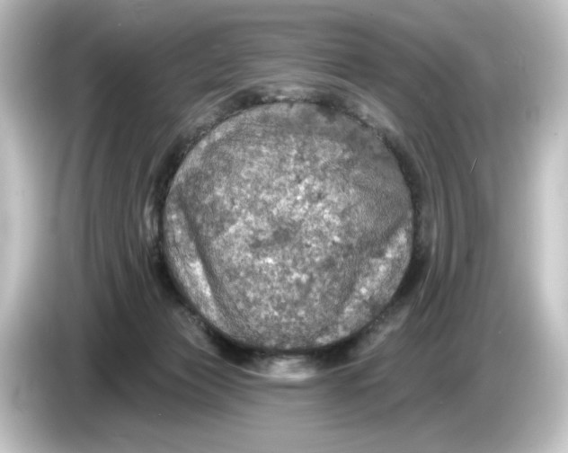 X0000084540173200703161635