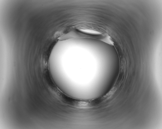 X0000084540176200703161635