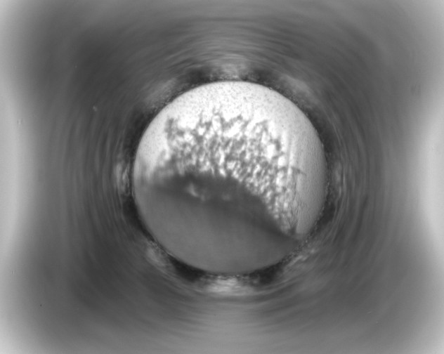 X0000084540177200703161635