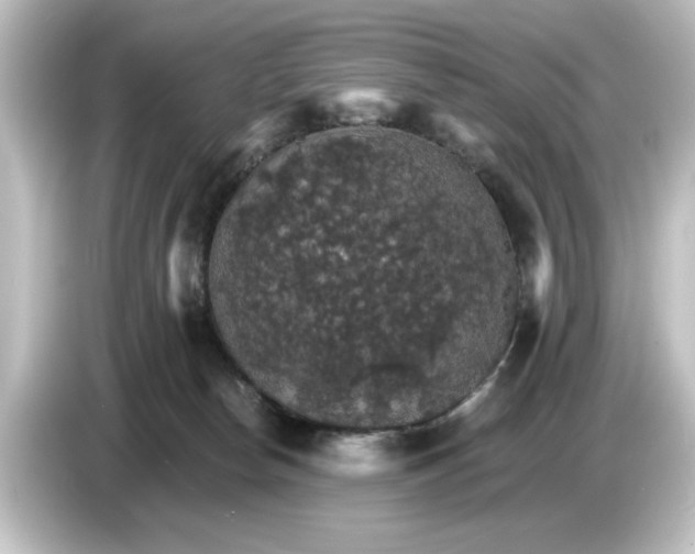 X0000084540178200703161635