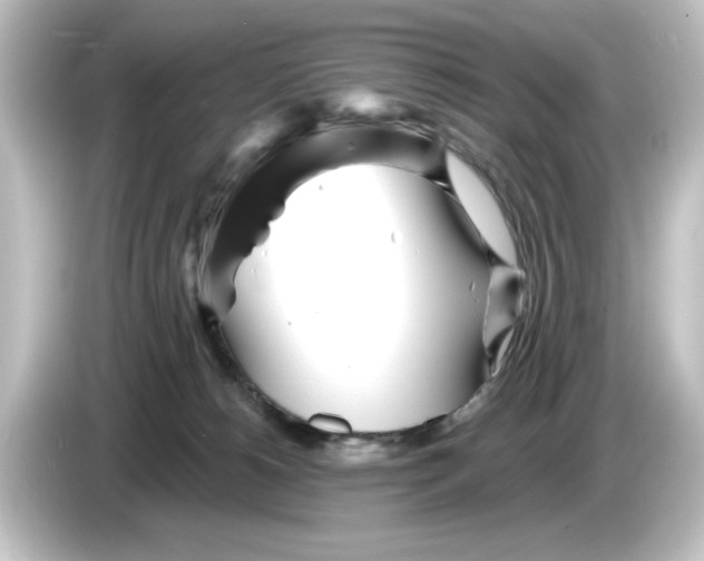 X0000084540180200703161635