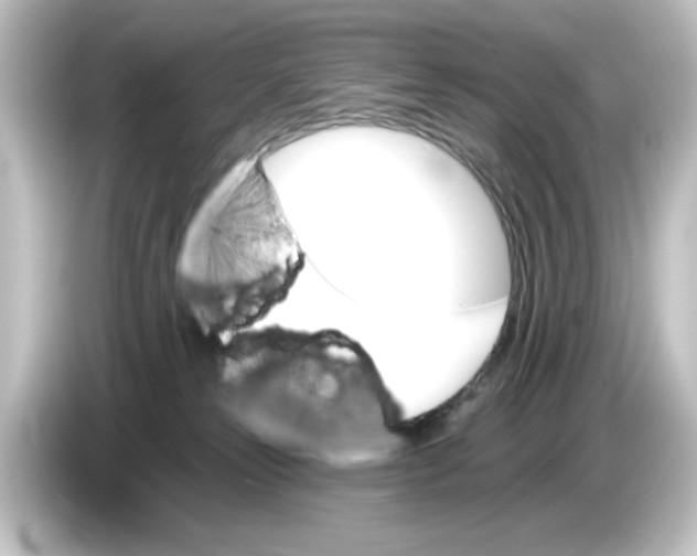 X0000084540181200703161635