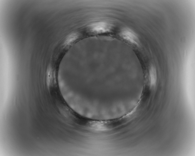 X0000084540182200703161635