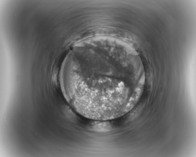 X0000084540185200703161635