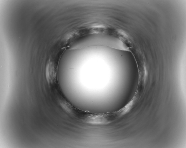 X0000084540186200703161635