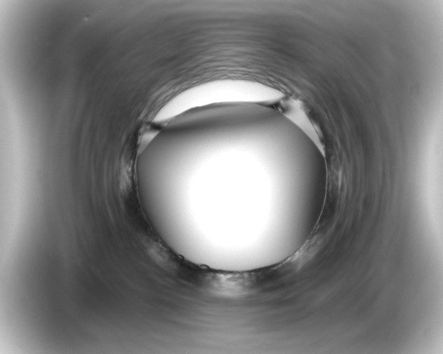 X0000084540188200703161635