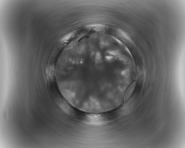 X0000084540189200703161635