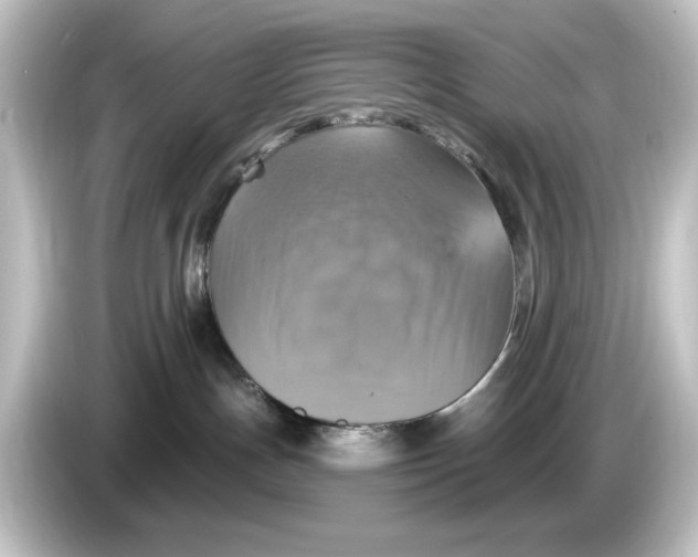 X0000084540191200703161635